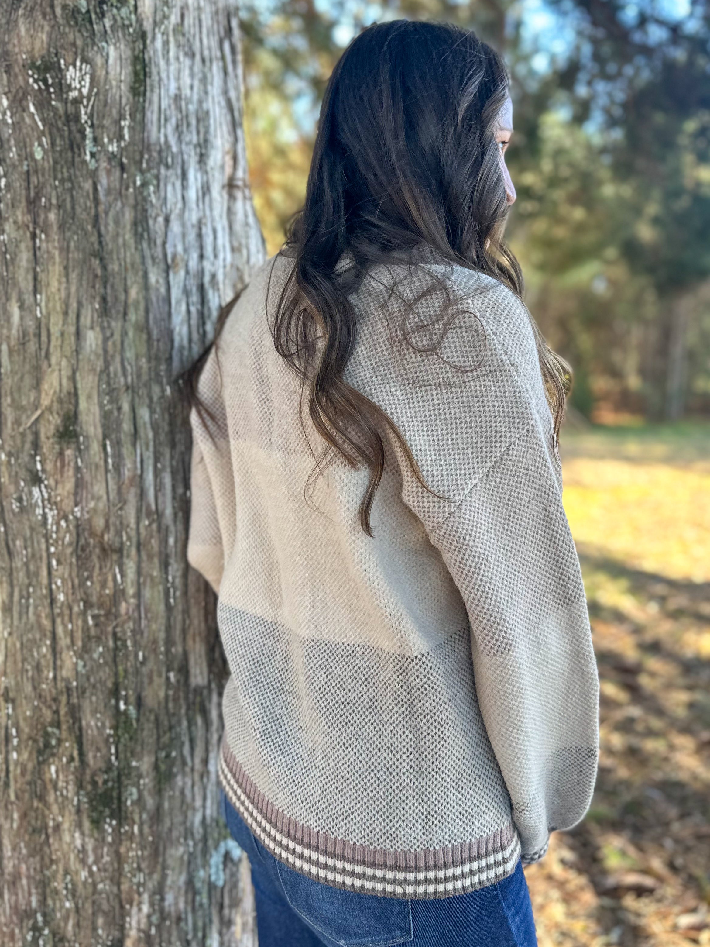 Morrigan Color Block Sweater :: S-XL