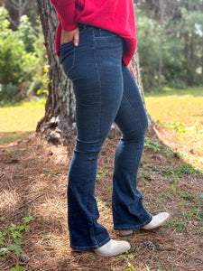 Joey Bootcut Jeans :: 1/24-15/31