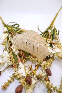 Leaf Clip :: Translucent Beige