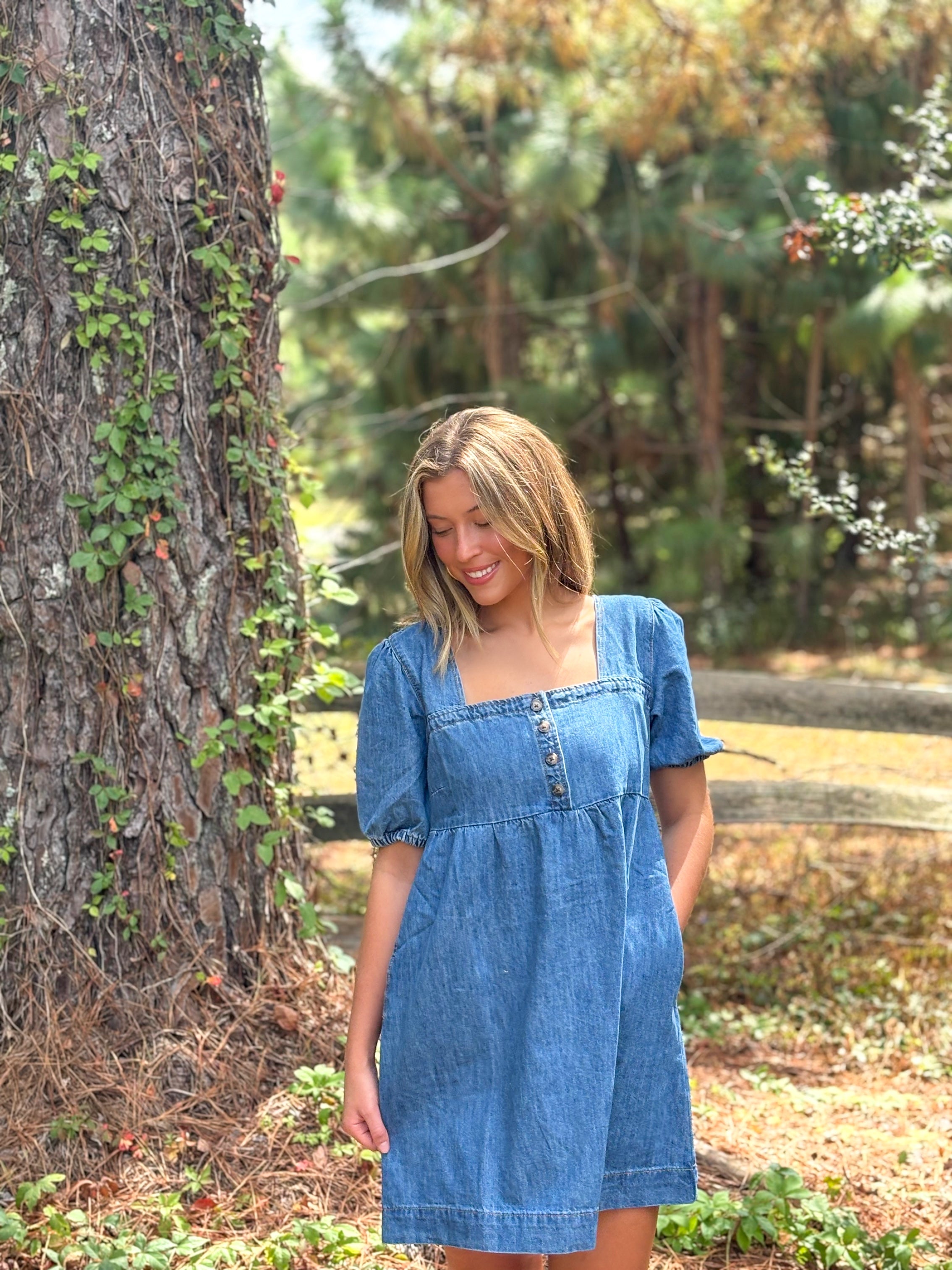 Davis Denim Dress :: S-L