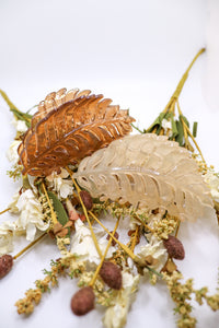 Leaf Clip :: Translucent Beige
